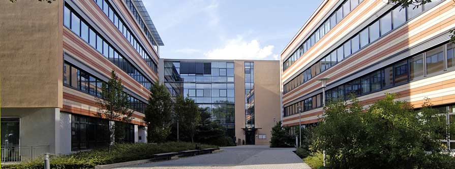 Wilke & Partner Header
