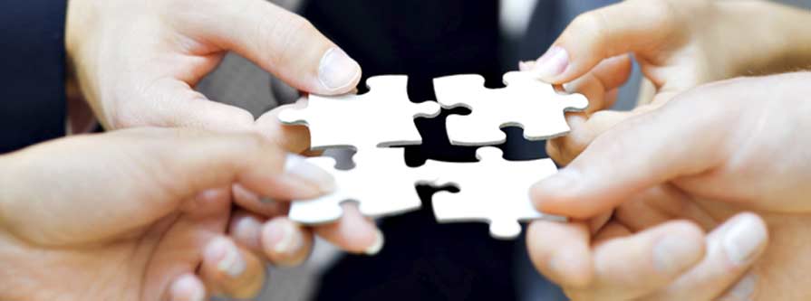 Wilke & Partner Header